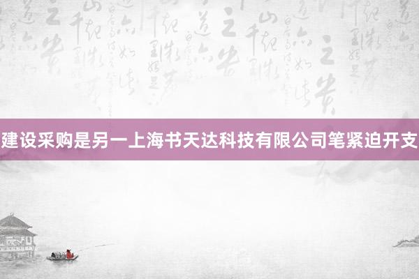 建设采购是另一上海书天达科技有限公司笔紧迫开支
